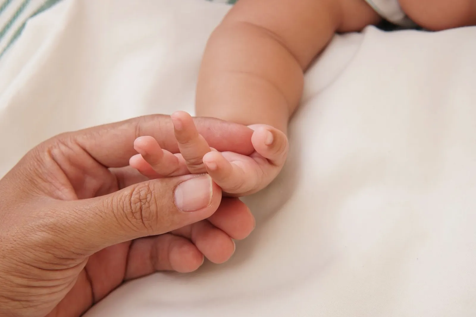 A parent hand holding a newborn hand in soft light